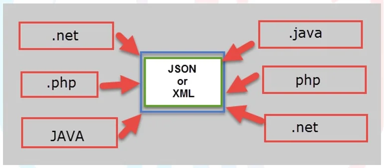 JSON and XML are language independent technologies